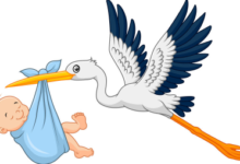 windeln(W家)海淘攻略教程2019-LaMaHT辣妈海淘