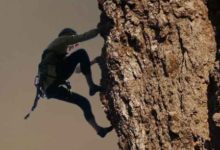 Travel Country美国官网海淘攻略2019-LaMaHT辣妈海淘