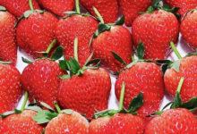 12月26日【拼多多】今日一波低价推荐-LaMaHT辣妈海淘