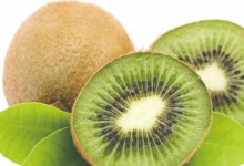 【京东】领30的券 奇异果24枚5斤装 速度-LaMaHT辣妈海淘