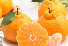 【京东】四川丑橘10斤24元 神价-LaMaHT辣妈海淘