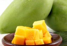 【京东】芒果精品装5斤,到手价14.5 手慢无-LaMaHT辣妈海淘