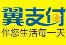 【翼支付】5-3通用券 可买京东时用-LaMaHT辣妈海淘