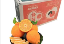 【京东】不知火丑橘整箱10斤 到手价【24.99】-LaMaHT辣妈海淘