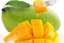 【京东】10斤芒果到手价【24.9】赶紧-LaMaHT辣妈海淘