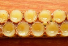 蜂王乳的功效及副作用--禁忌与症状要知道-LaMaHT辣妈海淘